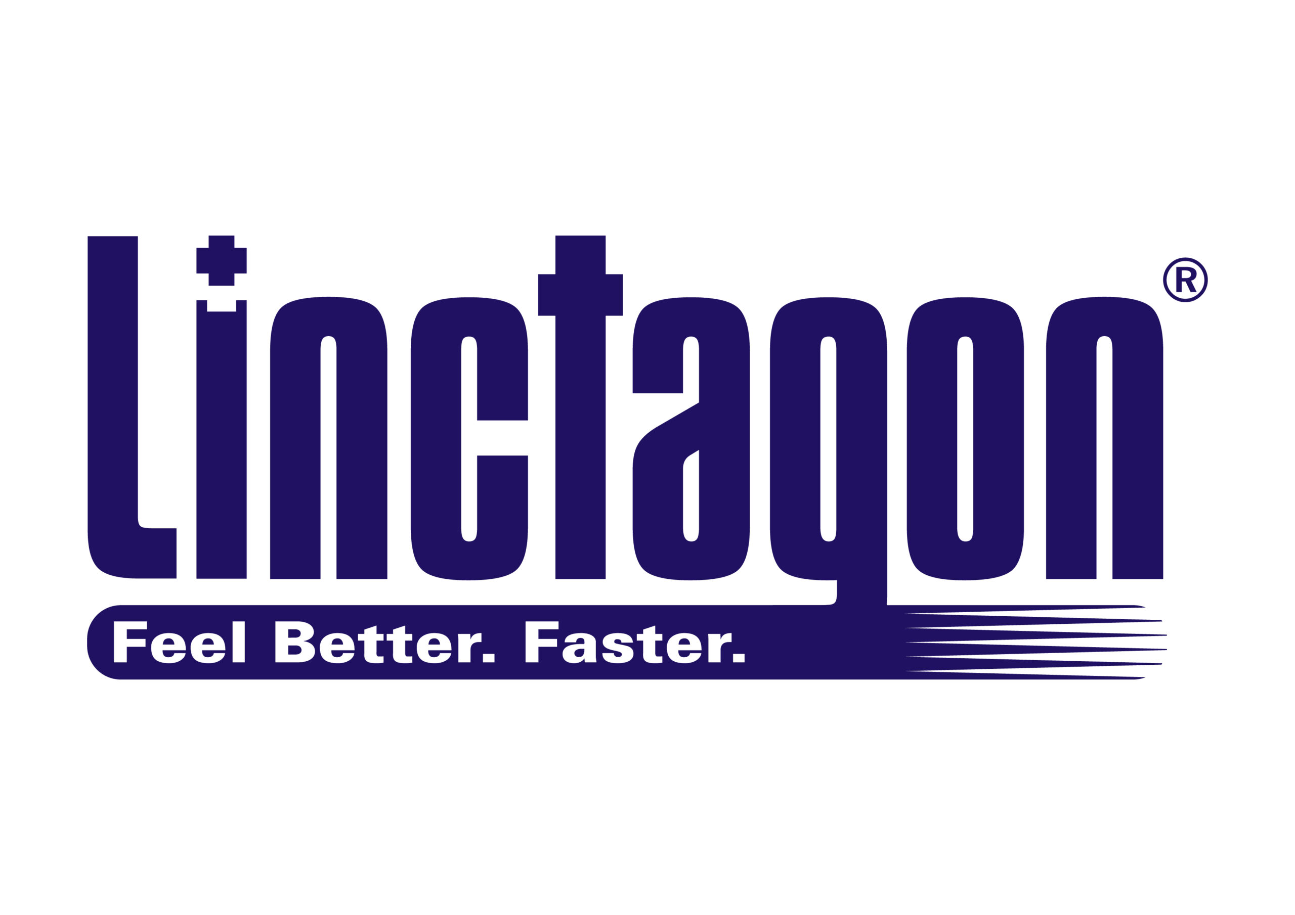 Linctagon Logo & Slogan 1C-07