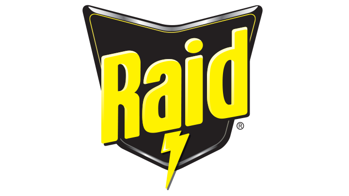 Raid Logo